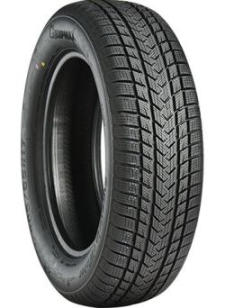 SUREGRIP eWINTER XL 205/45-17 V